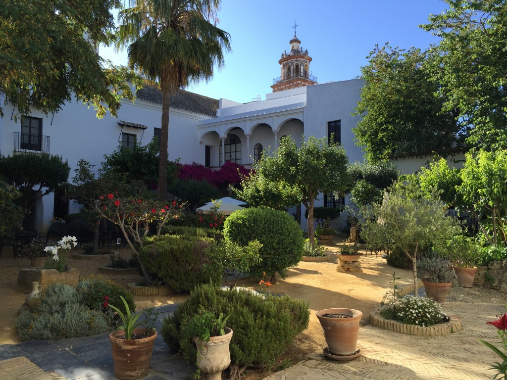 2016-06-10 09.54.41 PATIO PALACIO